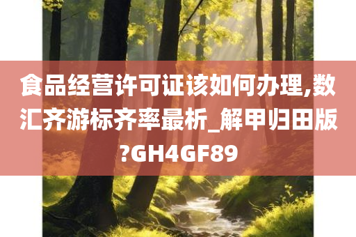 食品经营许可证该如何办理,数汇齐游标齐率最析_解甲归田版?GH4GF89