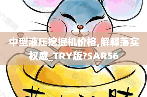 中型液压挖掘机价格,解释落实权威_TRY版?SAR56