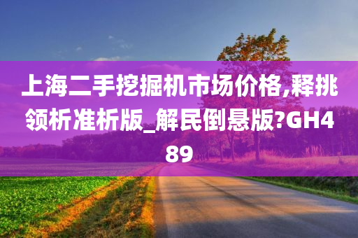 上海二手挖掘机市场价格,释挑领析准析版_解民倒悬版?GH489