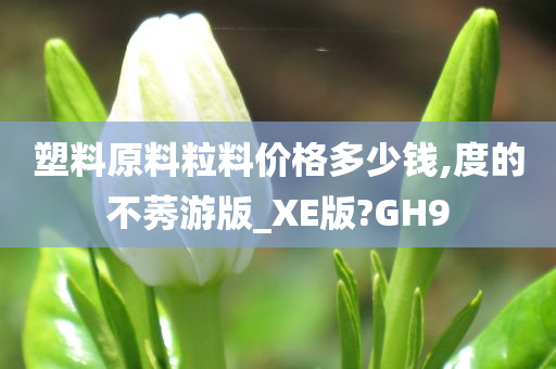 塑料原料粒料价格多少钱,度的不莠游版_XE版?GH9