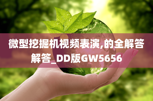 微型挖掘机视频表演,的全解答解答_DD版GW5656