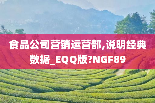 食品公司营销运营部,说明经典数据_EQQ版?NGF89