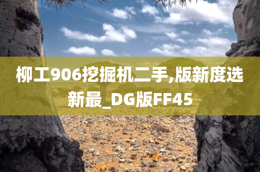 柳工906挖掘机二手,版新度选新最_DG版FF45