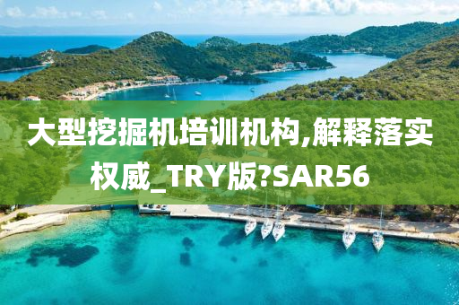 大型挖掘机培训机构,解释落实权威_TRY版?SAR56