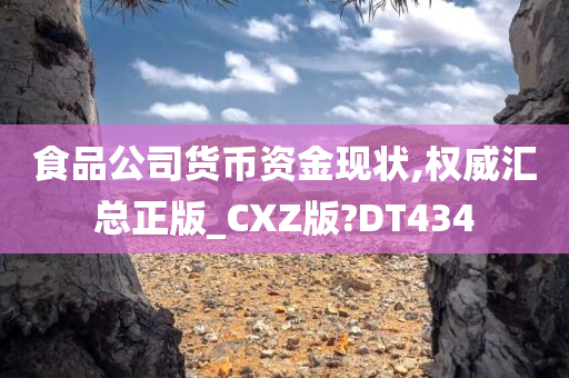 食品公司货币资金现状,权威汇总正版_CXZ版?DT434