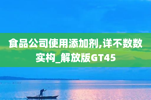 食品公司使用添加剂,详不数数实构_解放版GT45