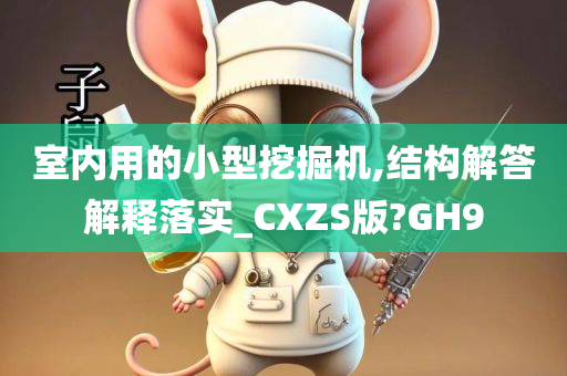 室内用的小型挖掘机,结构解答解释落实_CXZS版?GH9