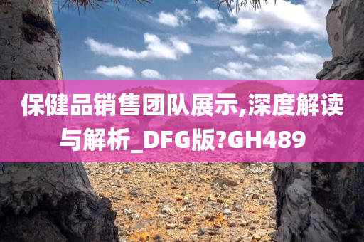 保健品销售团队展示,深度解读与解析_DFG版?GH489