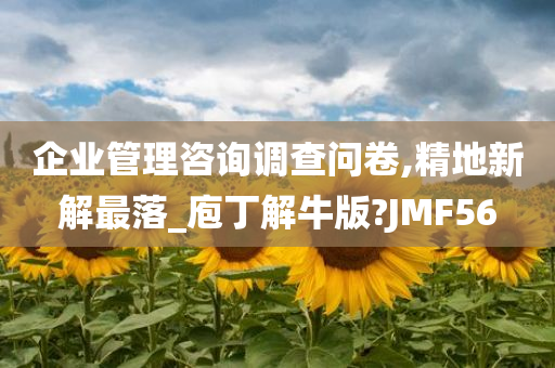 企业管理咨询调查问卷,精地新解最落_庖丁解牛版?JMF56