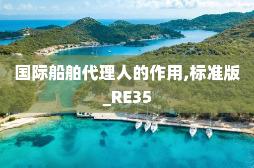 国际船舶代理人的作用,标准版_RE35