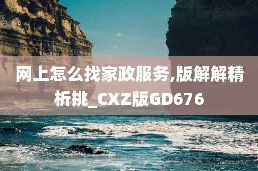 网上怎么找家政服务,版解解精析挑_CXZ版GD676