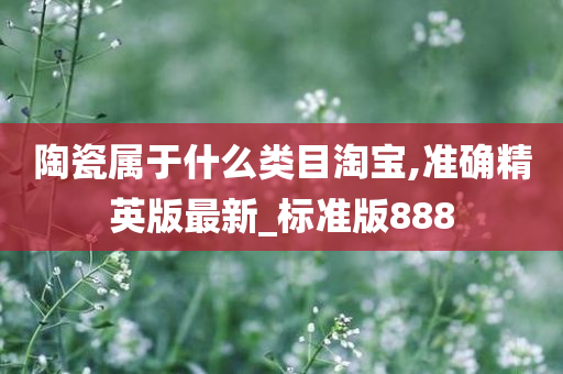 陶瓷属于什么类目淘宝,准确精英版最新_标准版888