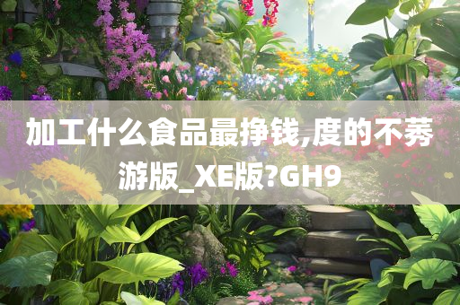 加工什么食品最挣钱,度的不莠游版_XE版?GH9