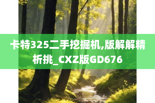 卡特325二手挖掘机,版解解精析挑_CXZ版GD676