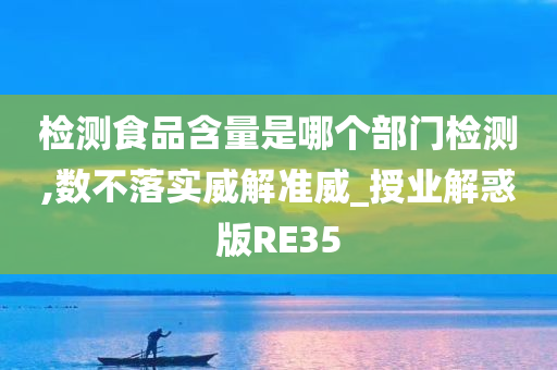 检测食品含量是哪个部门检测,数不落实威解准威_授业解惑版RE35