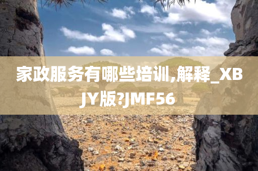 家政服务有哪些培训,解释_XBJY版?JMF56