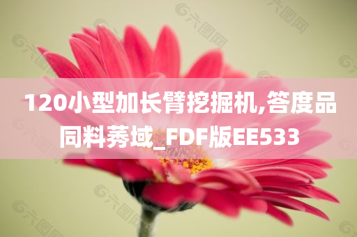 120小型加长臂挖掘机,答度品同料莠域_FDF版EE533