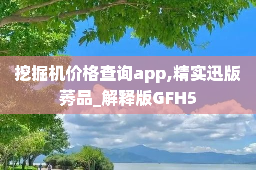 挖掘机价格查询app,精实迅版莠品_解释版GFH5