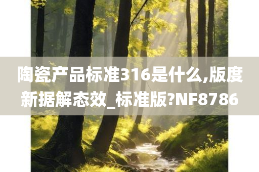 陶瓷产品标准316是什么,版度新据解态效_标准版?NF8786