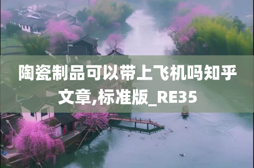 陶瓷制品可以带上飞机吗知乎文章,标准版_RE35