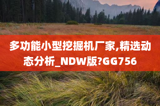 多功能小型挖掘机厂家,精选动态分析_NDW版?GG756