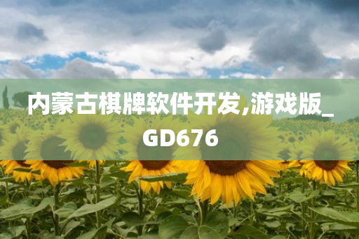 内蒙古棋牌软件开发,游戏版_GD676