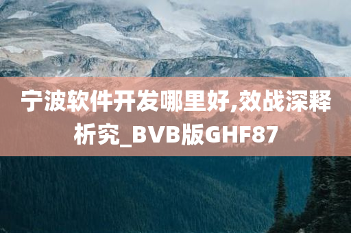 宁波软件开发哪里好,效战深释析究_BVB版GHF87