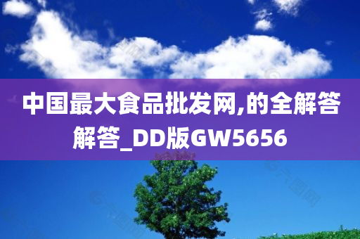 中国最大食品批发网,的全解答解答_DD版GW5656