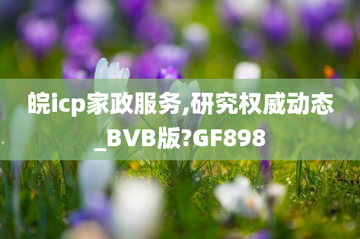 皖icp家政服务,研究权威动态_BVB版?GF898