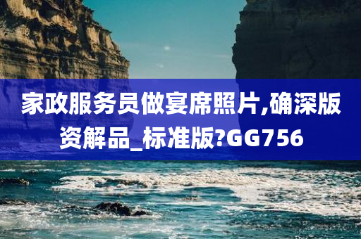 家政服务员做宴席照片,确深版资解品_标准版?GG756