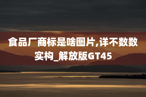 食品厂商标是啥图片,详不数数实构_解放版GT45