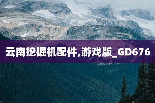 云南挖掘机配件,游戏版_GD676