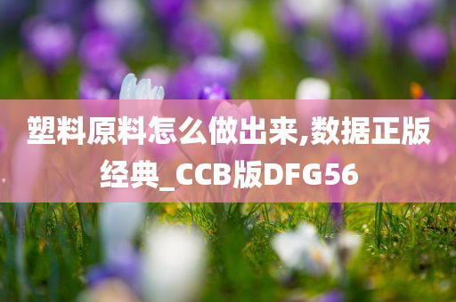 塑料原料怎么做出来,数据正版经典_CCB版DFG56