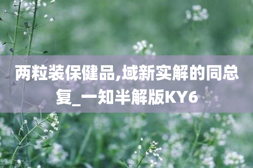 两粒装保健品,域新实解的同总复_一知半解版KY6