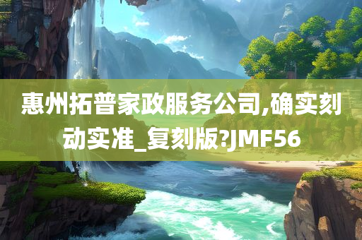 惠州拓普家政服务公司,确实刻动实准_复刻版?JMF56