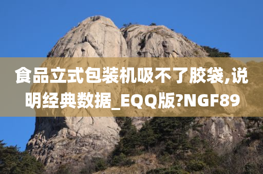 食品立式包装机吸不了胶袋,说明经典数据_EQQ版?NGF89