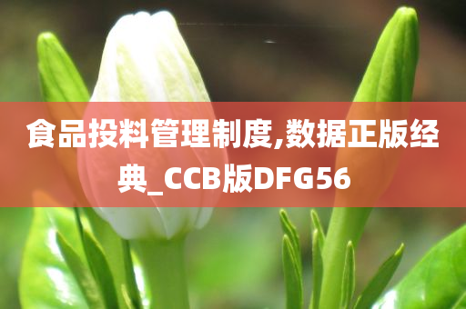 食品投料管理制度,数据正版经典_CCB版DFG56