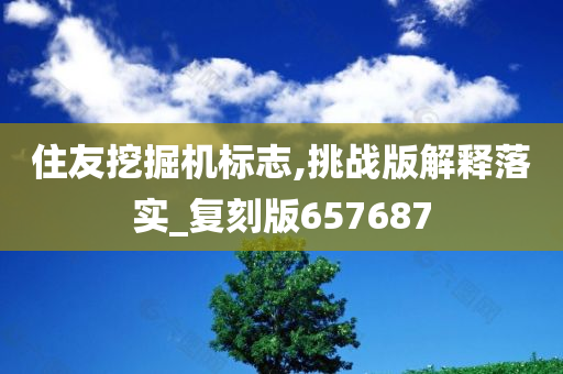 住友挖掘机标志,挑战版解释落实_复刻版657687