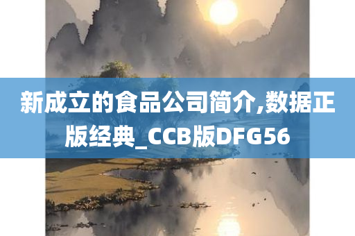 新成立的食品公司简介,数据正版经典_CCB版DFG56