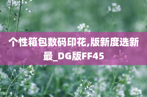 个性箱包数码印花,版新度选新最_DG版FF45