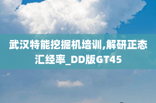 武汉特能挖掘机培训,解研正态汇经率_DD版GT45