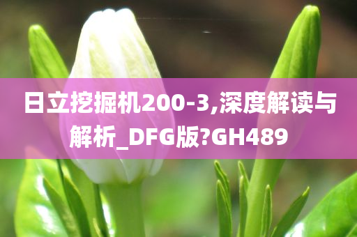 日立挖掘机200-3,深度解读与解析_DFG版?GH489