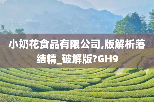 小奶花食品有限公司,版解析落结精_破解版?GH9