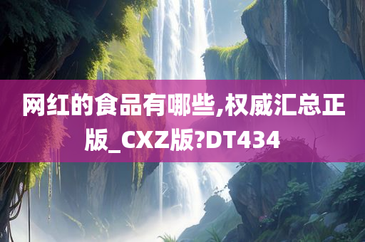 网红的食品有哪些,权威汇总正版_CXZ版?DT434