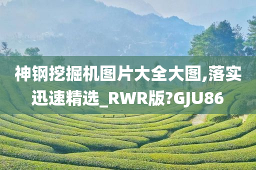 神钢挖掘机图片大全大图,落实迅速精选_RWR版?GJU86