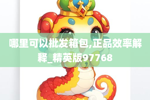 哪里可以批发箱包,正品效率解释_精英版97768