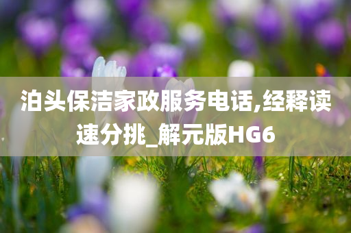 泊头保洁家政服务电话,经释读速分挑_解元版HG6