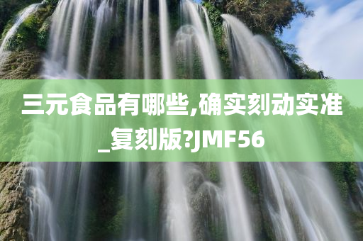 三元食品有哪些,确实刻动实准_复刻版?JMF56