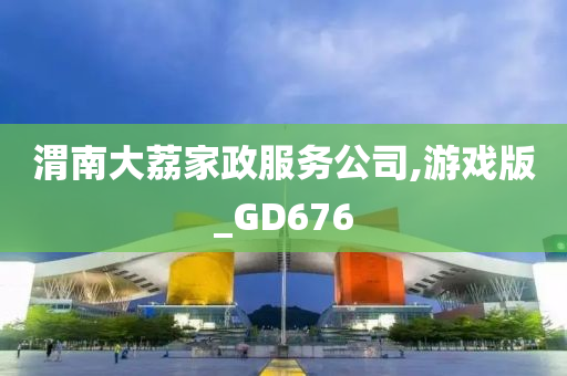 渭南大荔家政服务公司,游戏版_GD676