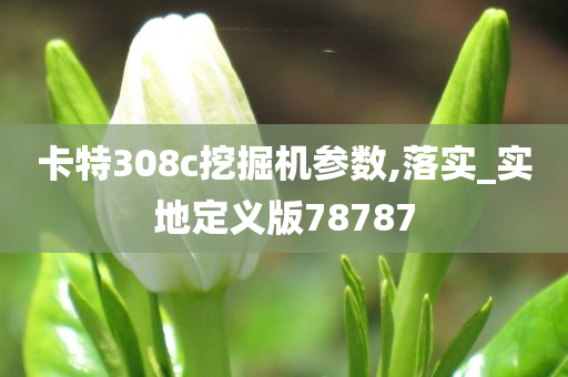 卡特308c挖掘机参数,落实_实地定义版78787